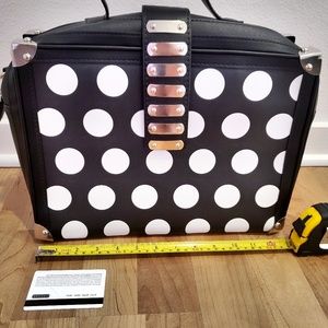 Polka dot Laptop / Large Purse case